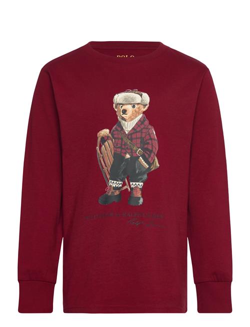 Ralph Lauren Kids | Polo Bear Cotton Long-Sleeve Tee | 150-161