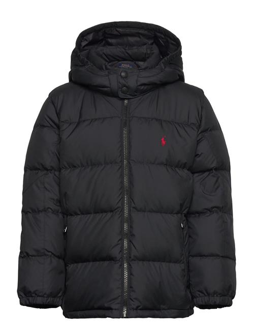 Ralph Lauren Kids | Ripstop Down Hooded Jacket | 88-93