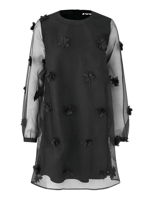 mbyM | Molli Ls-M | XL