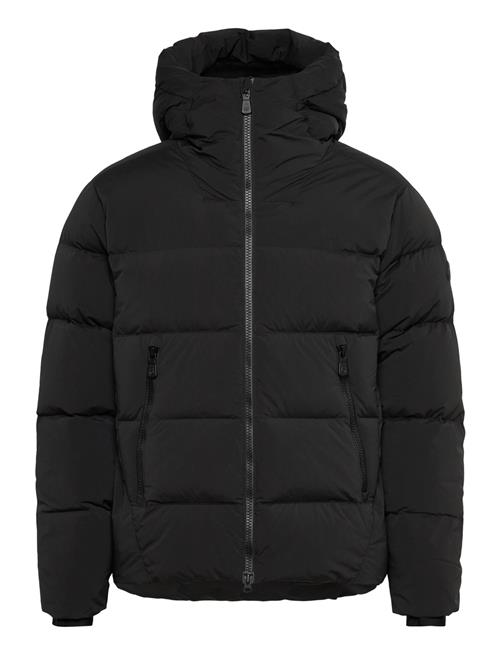 Sail Racing | Cloud Down Stretch Hood | L