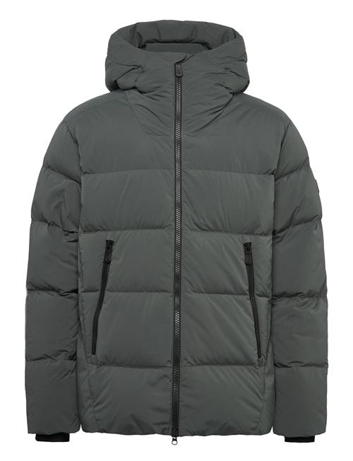 Sail Racing | Cloud Down Stretch Hood | M