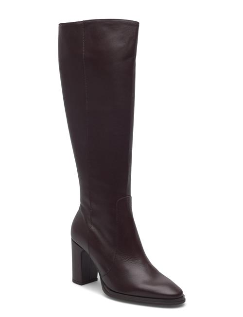 Wonders | Treze 50 | 42