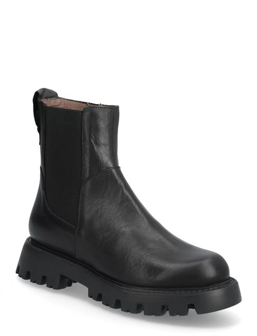 Wonders | Goodfly 11 | 39