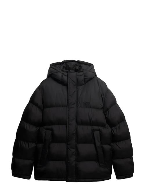 Superdry | Hooded Tech Padded Jkt | L