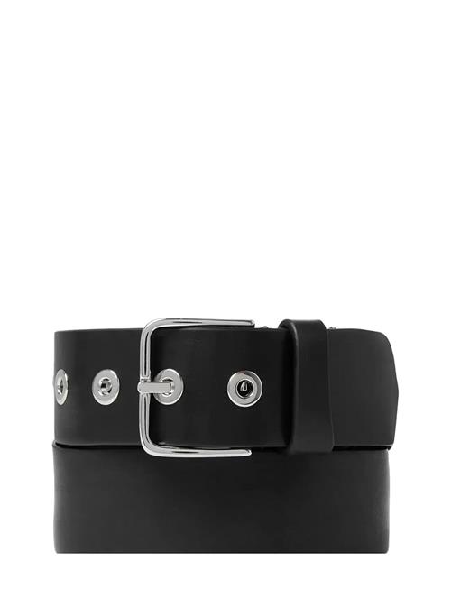 Saddler | Alba | 85 CM 85 cm