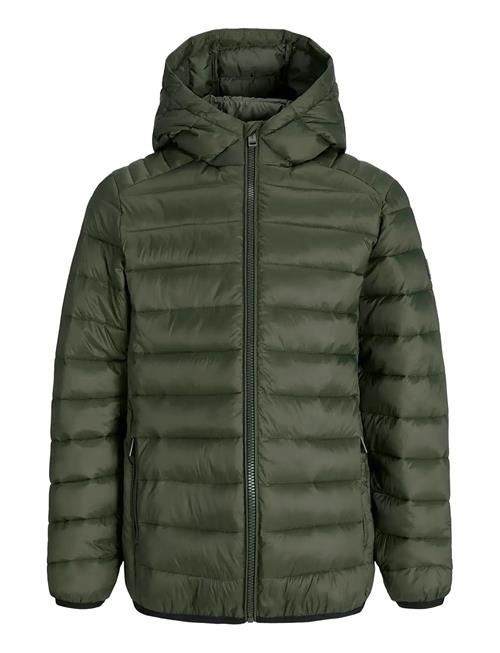 Jack & Jones | Jjebradley Light Puffer Hood Jnr | 164