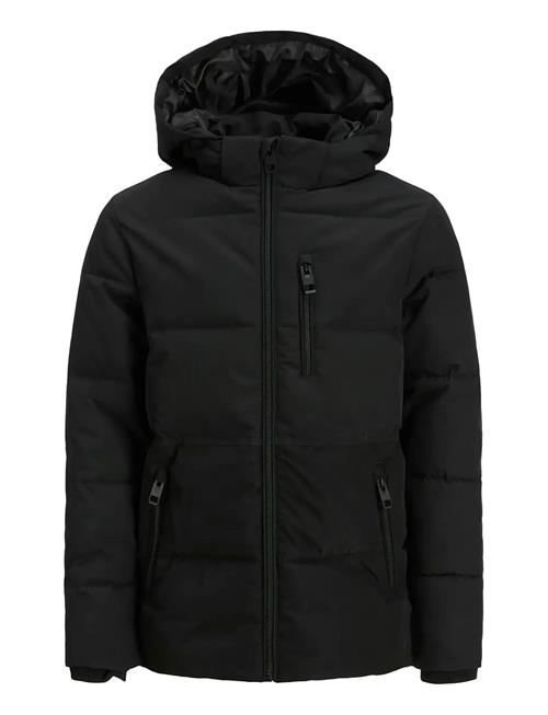 Jack & Jones | Jjeowen Puffer Sn Jnr | 152