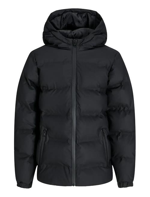 Jack & Jones | Jjelements Pu Puffer Jnr | 152