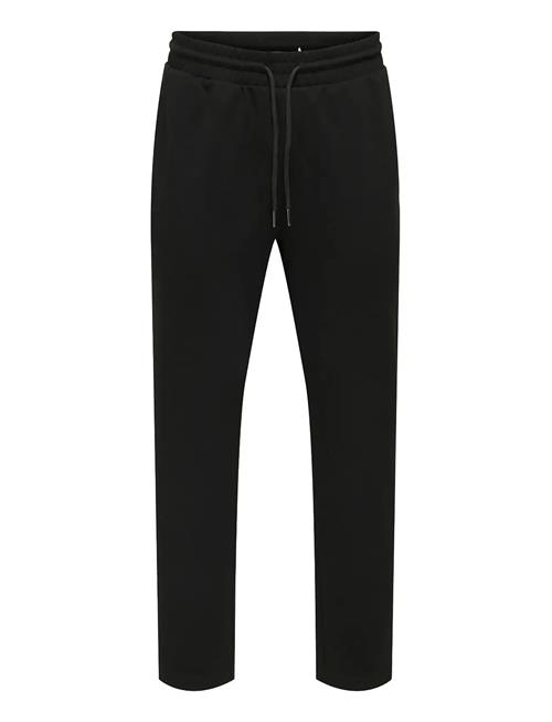 ONLY & SONS | Onsnewkodyl Life Linus Reg Pant Noos | XL