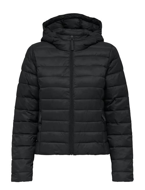 ONLY | Onltahia Lw Quilted Hood Jkt Noos Otw | XL