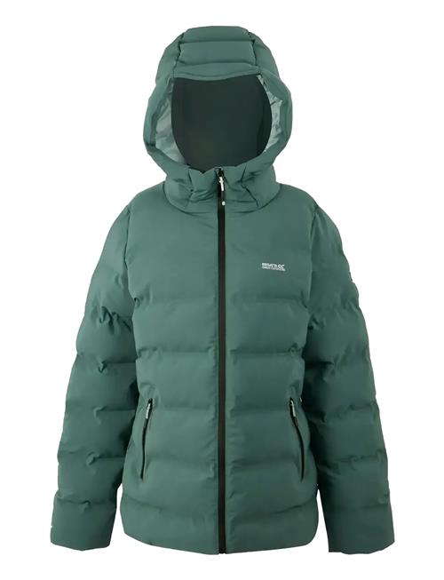 Regatta | Women's Altoro Thermal | S