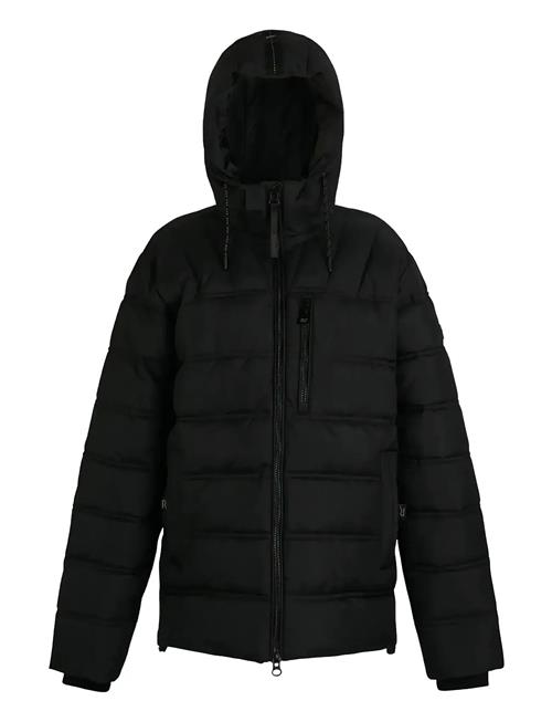 Regatta | Leeshaw | XXL