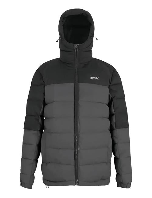 Regatta | Aldthorn | L