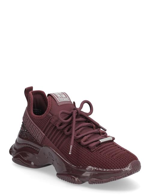 Steve Madden | Maxilla-R-E | 38