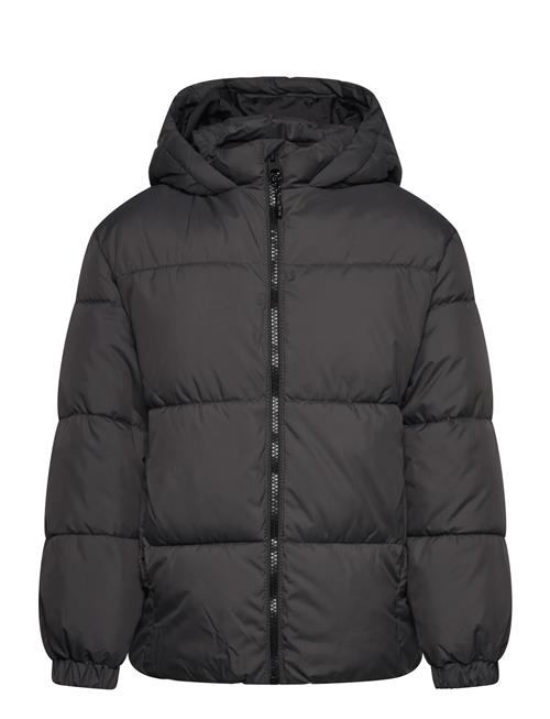 Mango | Hood Puffer Coat | 122