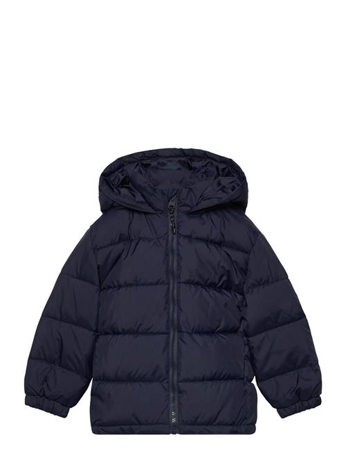 Mango | Hooded Liner Quilted Coat | 3-4