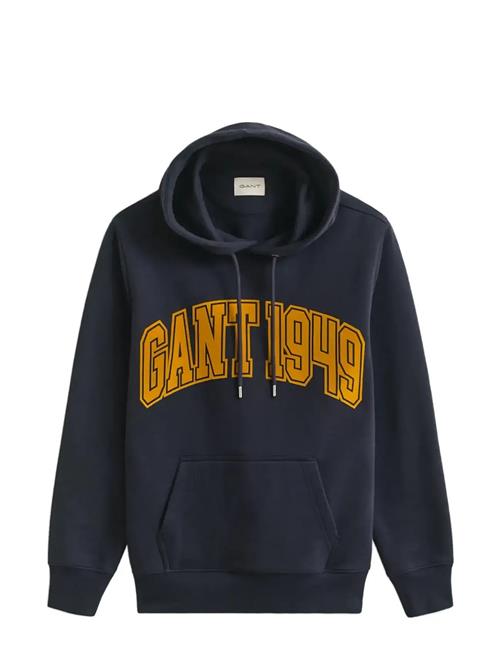 GANT | Graphic Hoodie | L