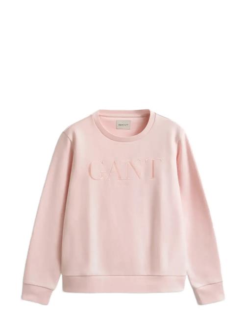 GANT | Tonal Graphic C-Neck Sweat | L