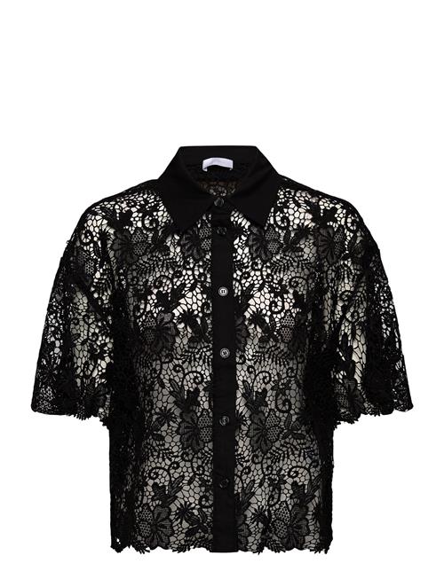 2NDDAY | 2Nd Tabbi - Heavy Lace | 40