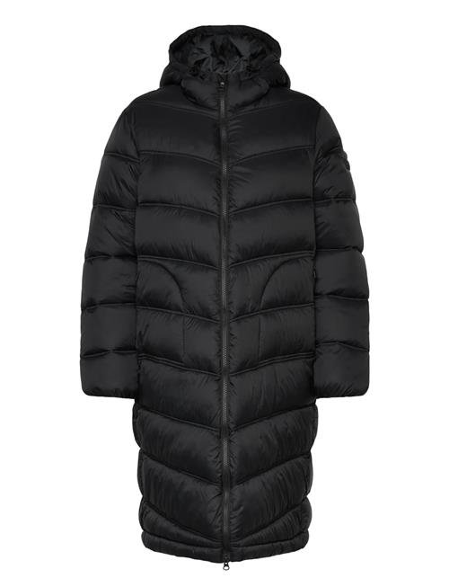 Napapijri | A-Ega L W | M