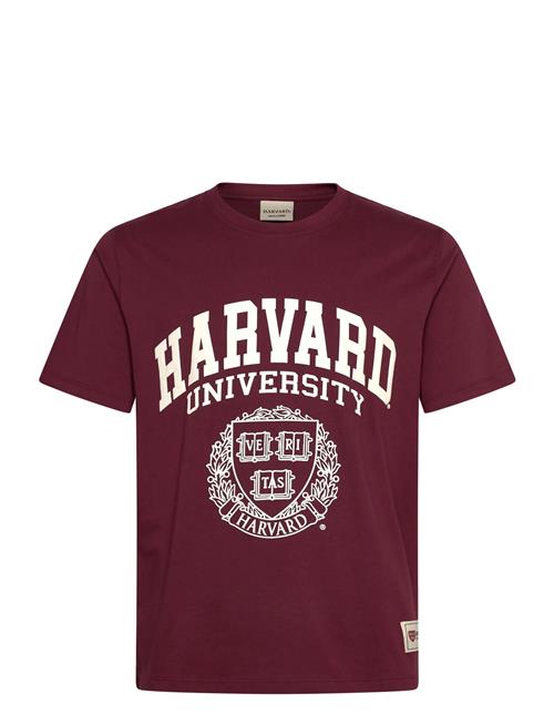 Jack & Jones | Jorharvard Tee Ss C.n Styd Ss25 | S