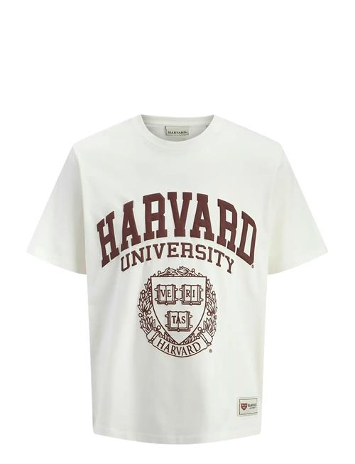 Jack & Jones | Jorharvard Tee Ss C.n Styd Ss25 | S