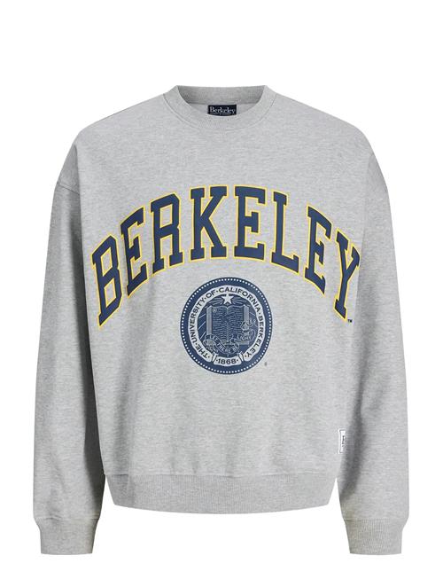 Jack & Jones | Jorberkeley Sweat C.n Styd Ss25 | M