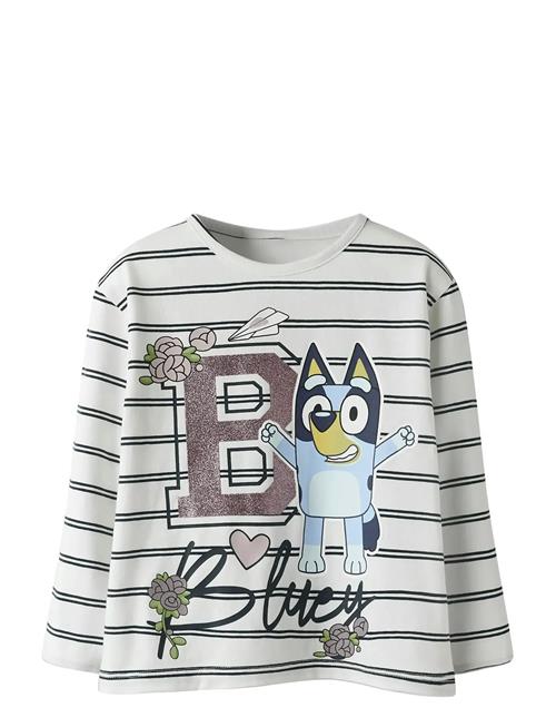 name it | Nmfsiska Bluey Ls Nreg Top Box Sky | 116