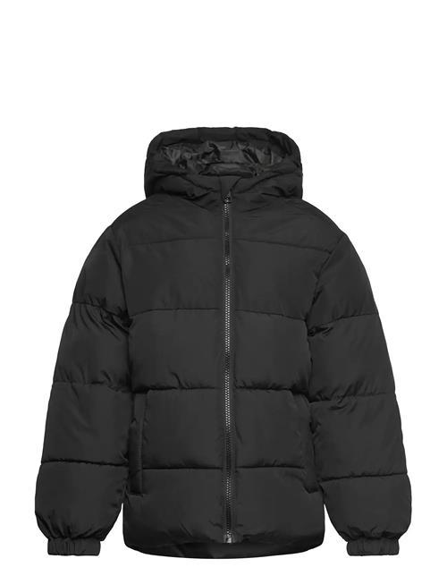 Jack & Jones | Jjmaze Puffer Hood Jnr | 176