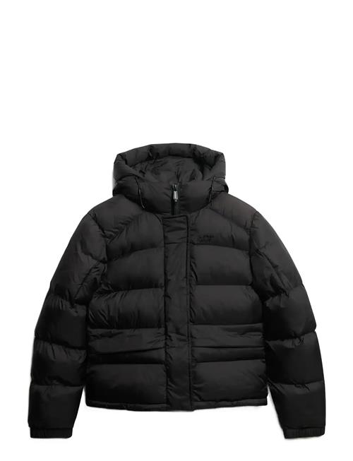 Superdry Sport | Hooded Tech Padded Jkt | M