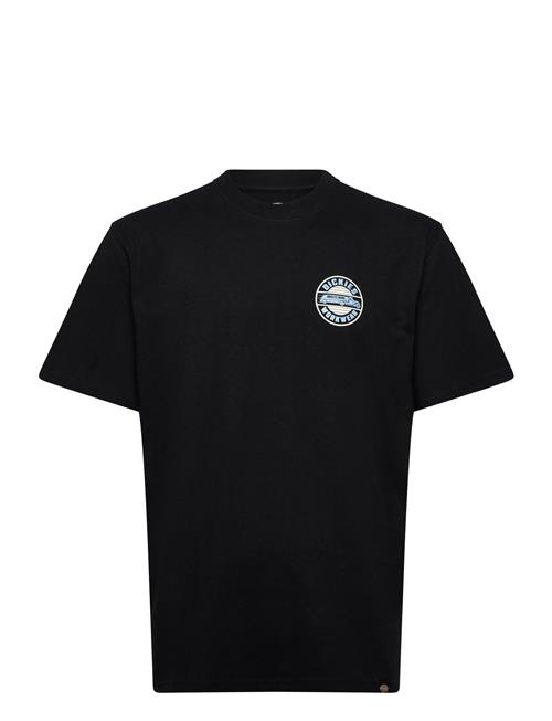 Dickies | M Dickies Circle Tee Ss | XS
