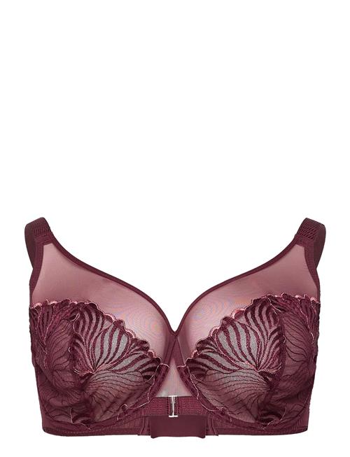 CHANTELLE | Legend Underwire Very Covering Bra | F x 80