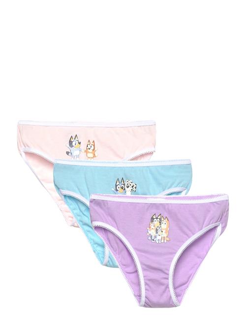 Bluey | Slip,Culotte | 110/116