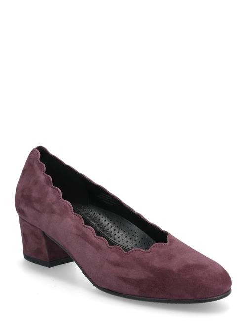 Gabor | Pumps | 36