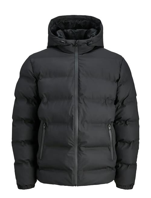 Jack & Jones | Jjelements Pu Puffer Sn | M