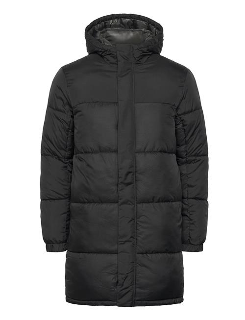 Jack & Jones | Jcounion Long Puffer Jacket Sn | L