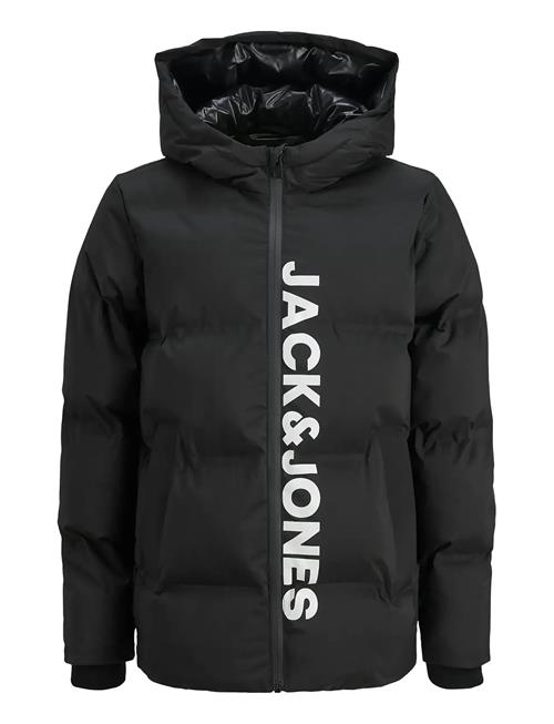 Jack & Jones | Jjkaito Puffer Jacket Ln Jnr | 176