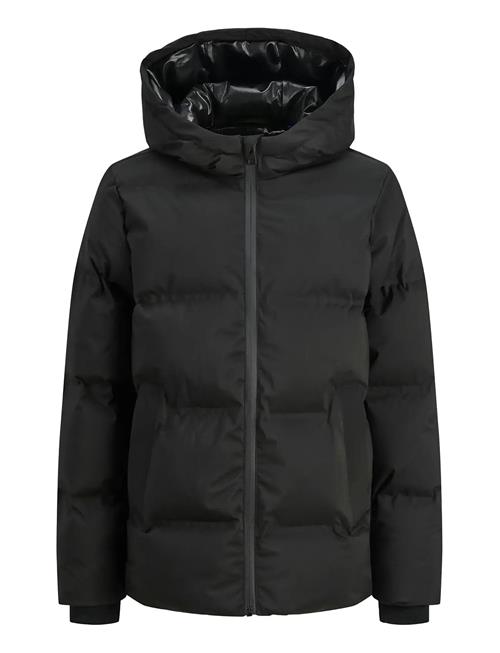 Jack & Jones | Jjkaito Puffer Jacket Ln Jnr | 176