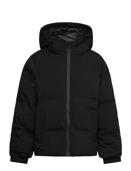 Jack & Jones | Jjkaito Puffer Jacket Mni | 98