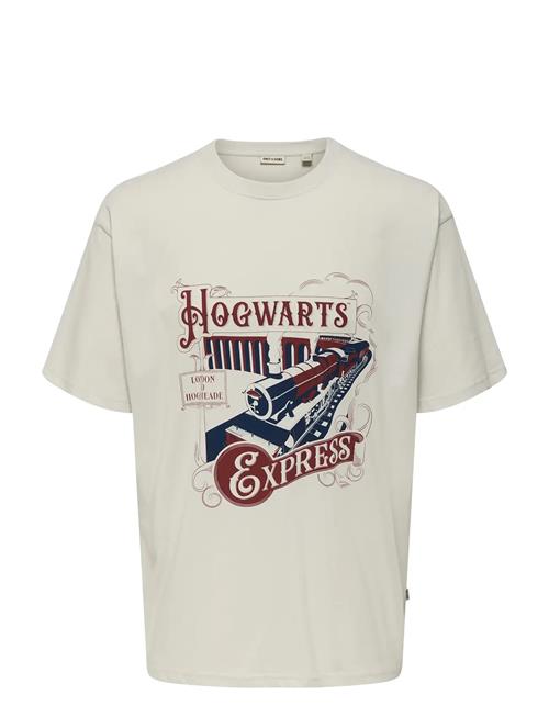 ONLY & SONS | Onsxmas Rlx Ss Tee Hp | S