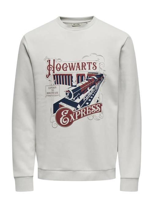 ONLY & SONS | Onsxmas Reg Crew Hp | XL