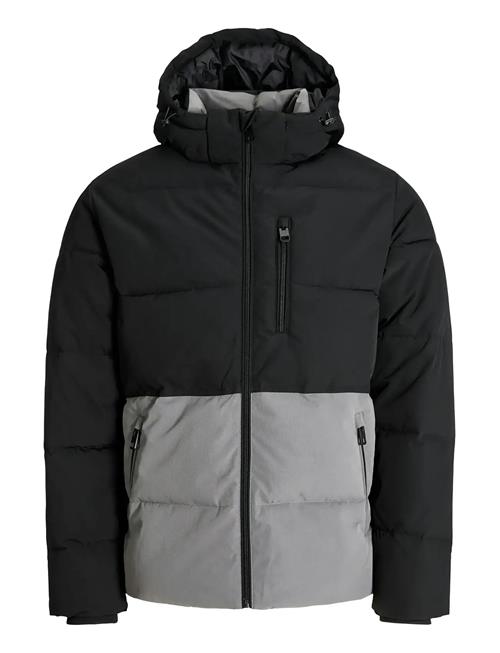 Jack & Jones | Jjeowen Puffer Sn | L