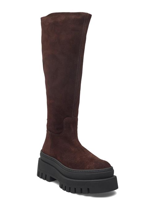 Steve Madden | Chipp | 37