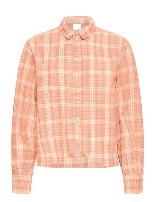 ICHI | Ihcira Sh | 42