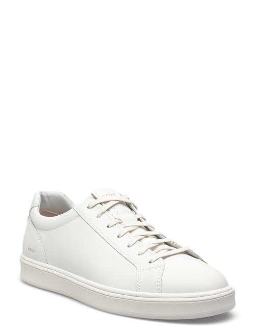 GEOX | U Spherica Actif X 4 | 43