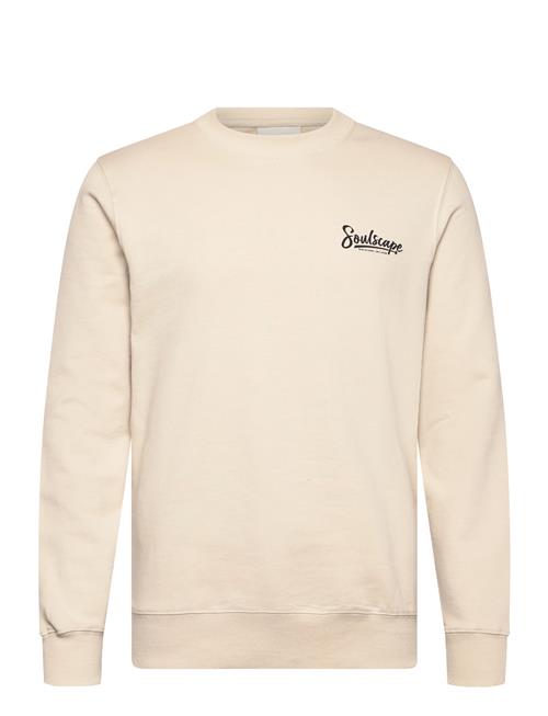 Solid | Sdtorrence | XL