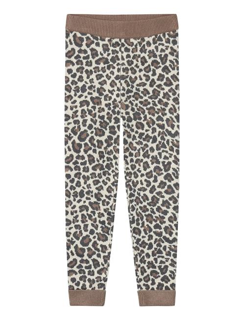 Fliink | Benna Leo Leggin | 2 Y