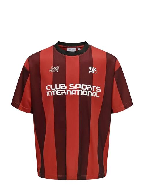 ONLY & SONS | Onsdeclan Loose Ss Tee | S