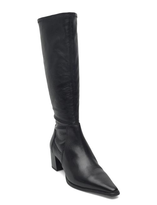 VAGABOND | Giselle - Wide | 41