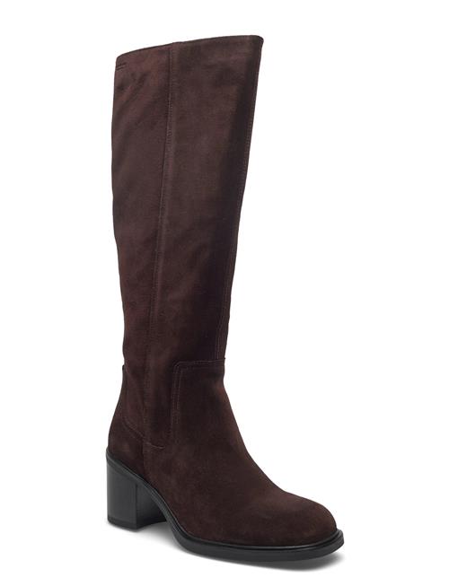 VAGABOND | Meryl | 36